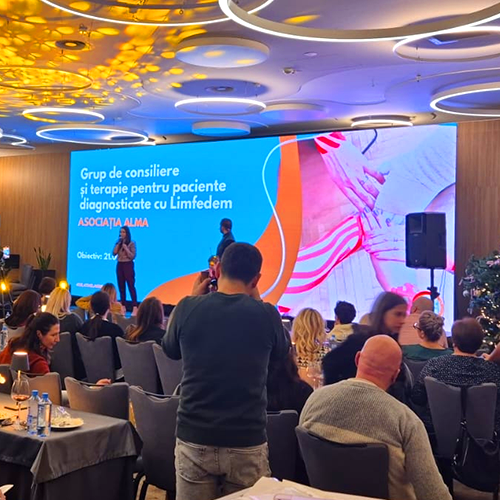 P3.91 Rental LED Screen for Romania
