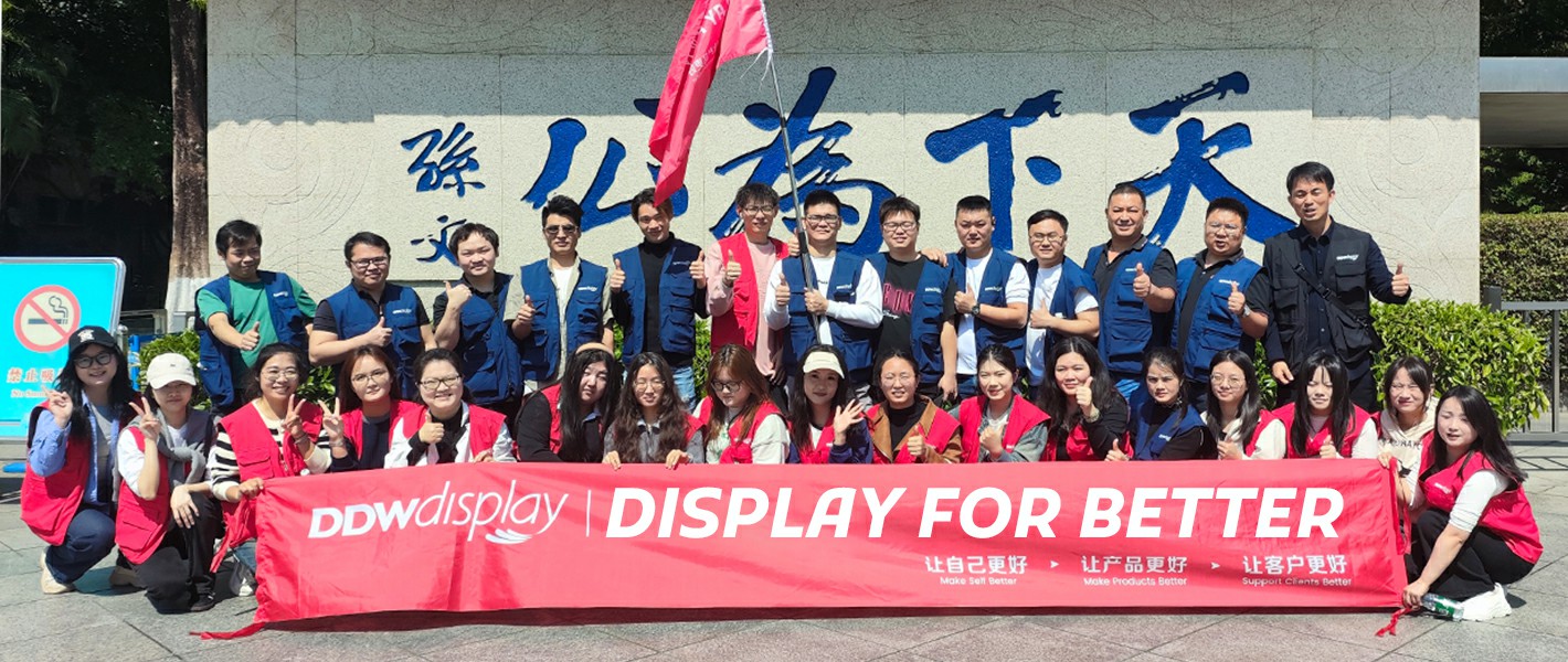 ddw led display