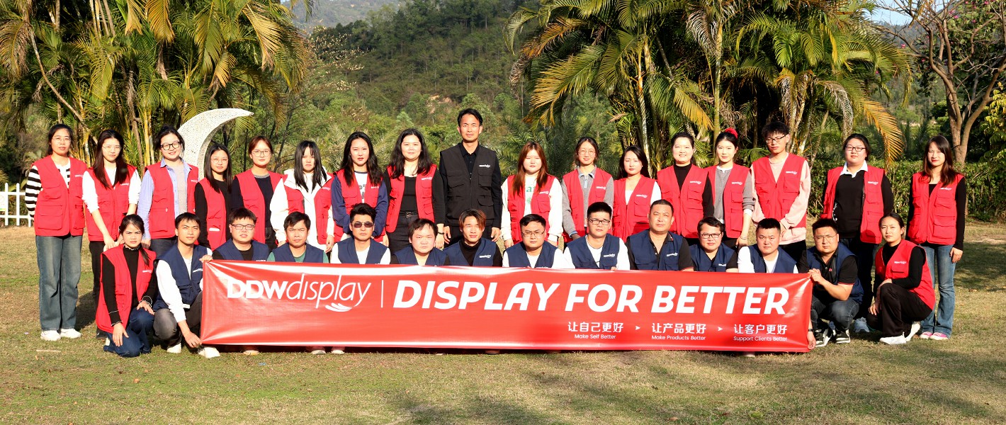 ddw led display