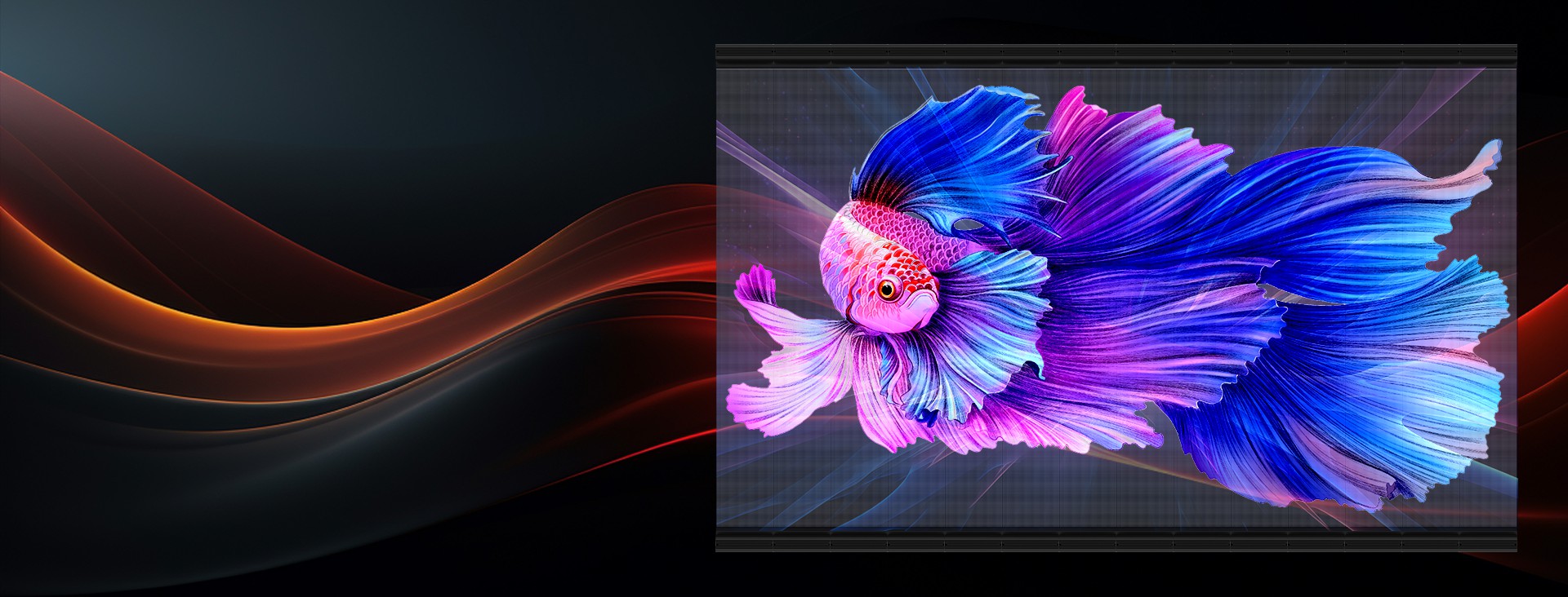Transparent LED Screen